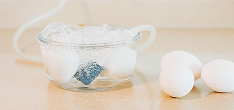 Desinfecta los alimentos