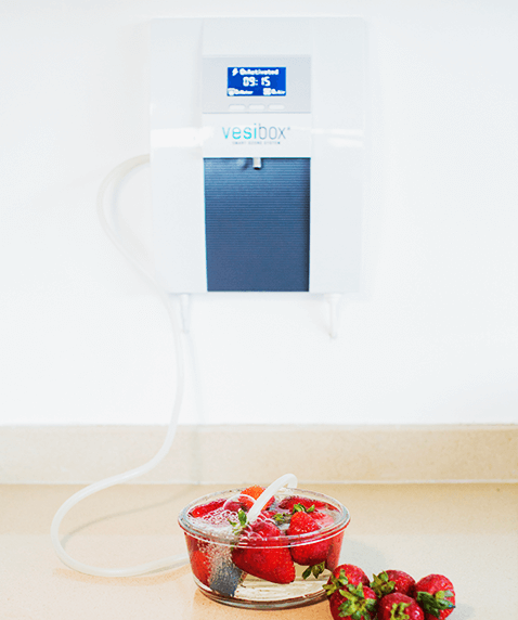 Desinfecta los alimentos